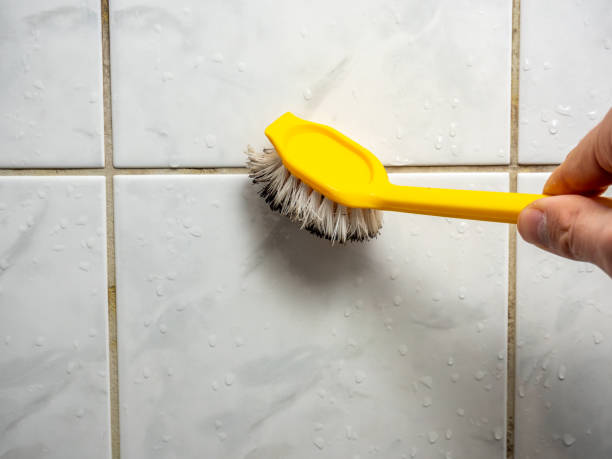 Best Mold Removal Near Me  in Charlack, MO
