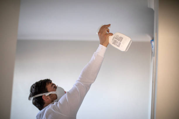Best Professional Mold Removal  in Charlack, MO