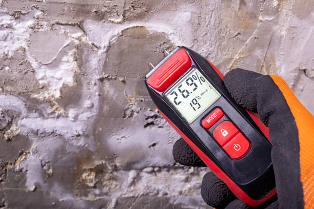 Trusted Charlack, MO Mold Removal Experts