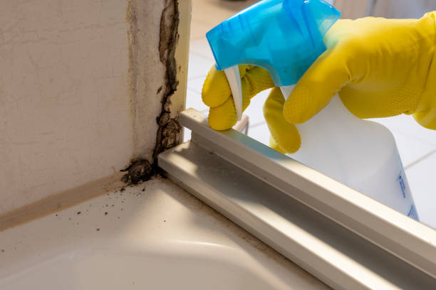 Best Crawl Space Mold Removal  in Charlack, MO