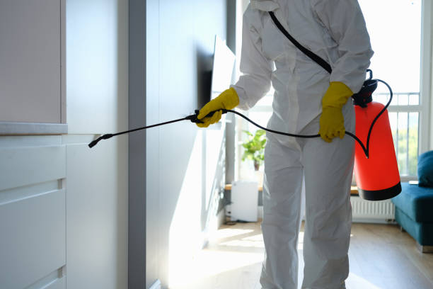 Best Mold Testing and Removal  in Charlack, MO
