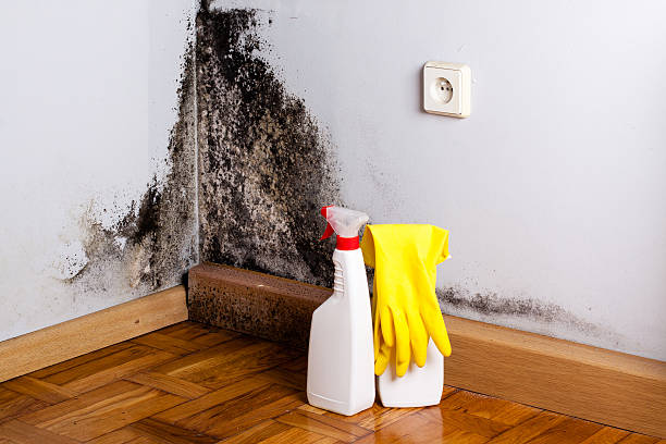 Best Residential Mold Removal  in Charlack, MO